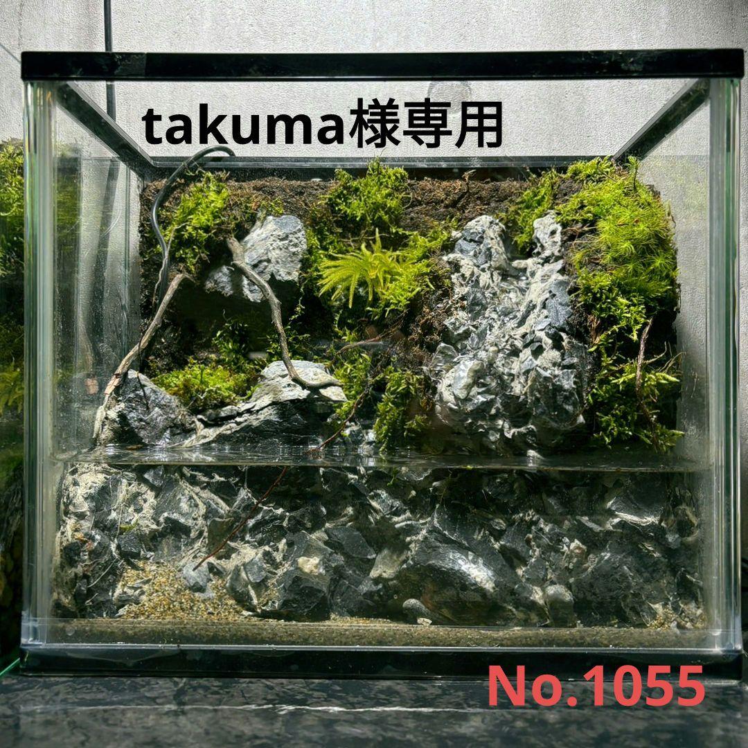 DOOA ネオグラスエア200 200 350 ガラス水槽 ADA NEO GLASS AIR