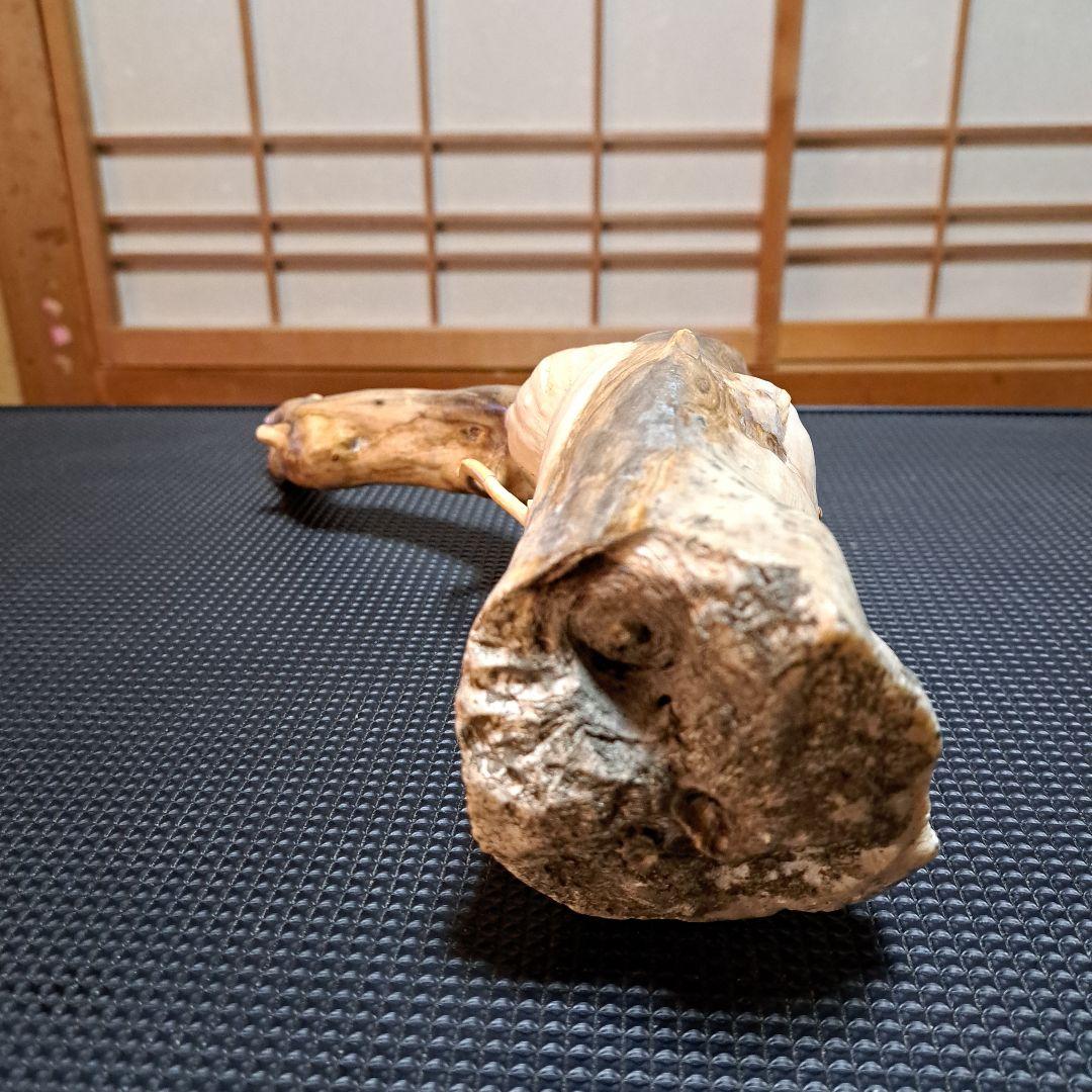 海松 深海松 レインボーコーラル 素材 原木 - メルカリ