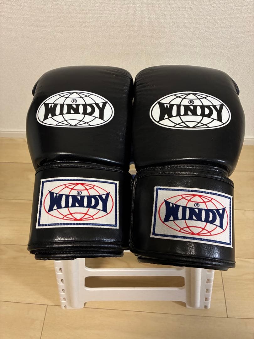 美品】LAVA ボクシンググローブSサイズ&シューズ Mサイズ