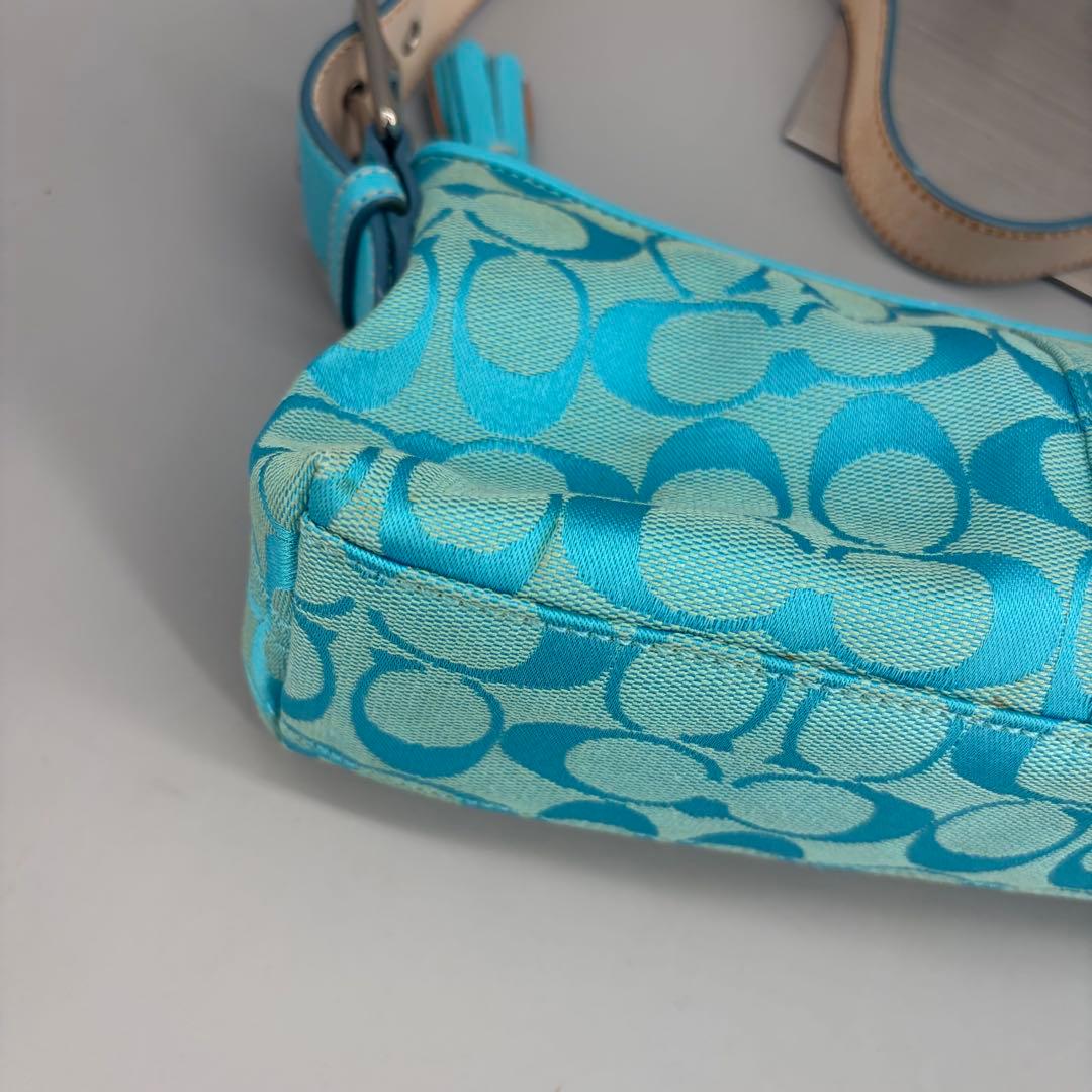 バッグ Coach Baguette Hampton Semi Demi Bag