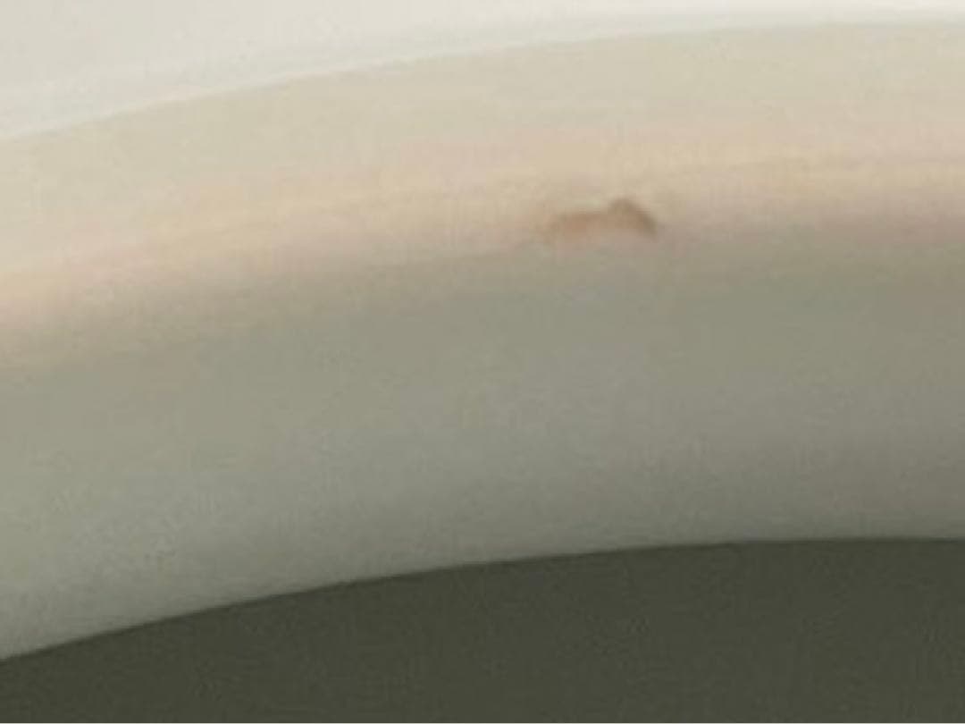 陶芸家 竹中浩 白磁 壺 壷 白磁花入 花器 花瓶 共箱 李朝