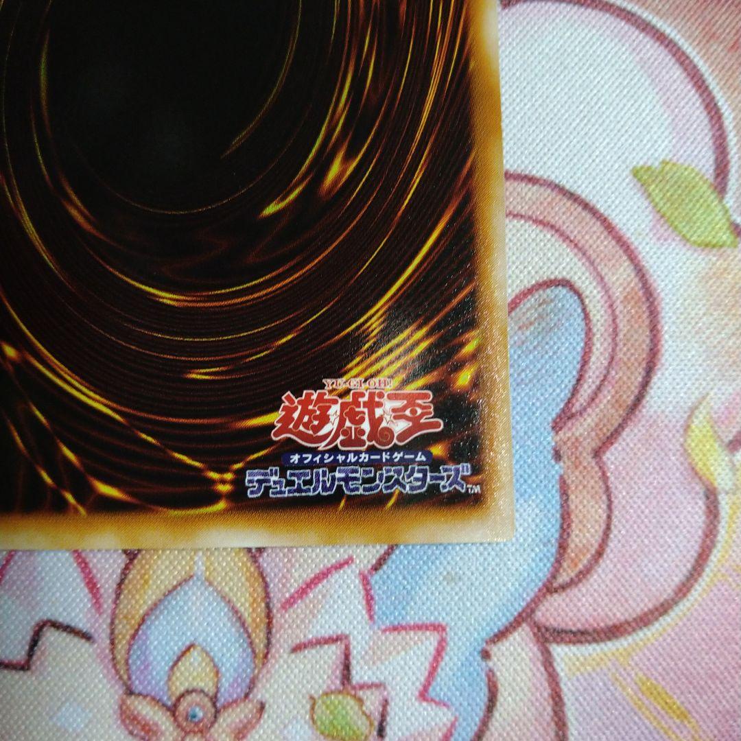 ニュート　ウルトラ