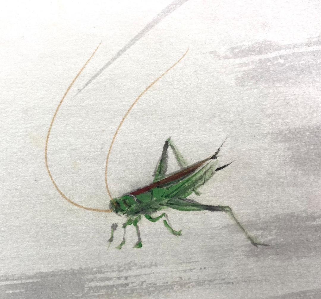 田中案山子／田中以知庵師事「花籠秋草」掛軸 紙本 共箱