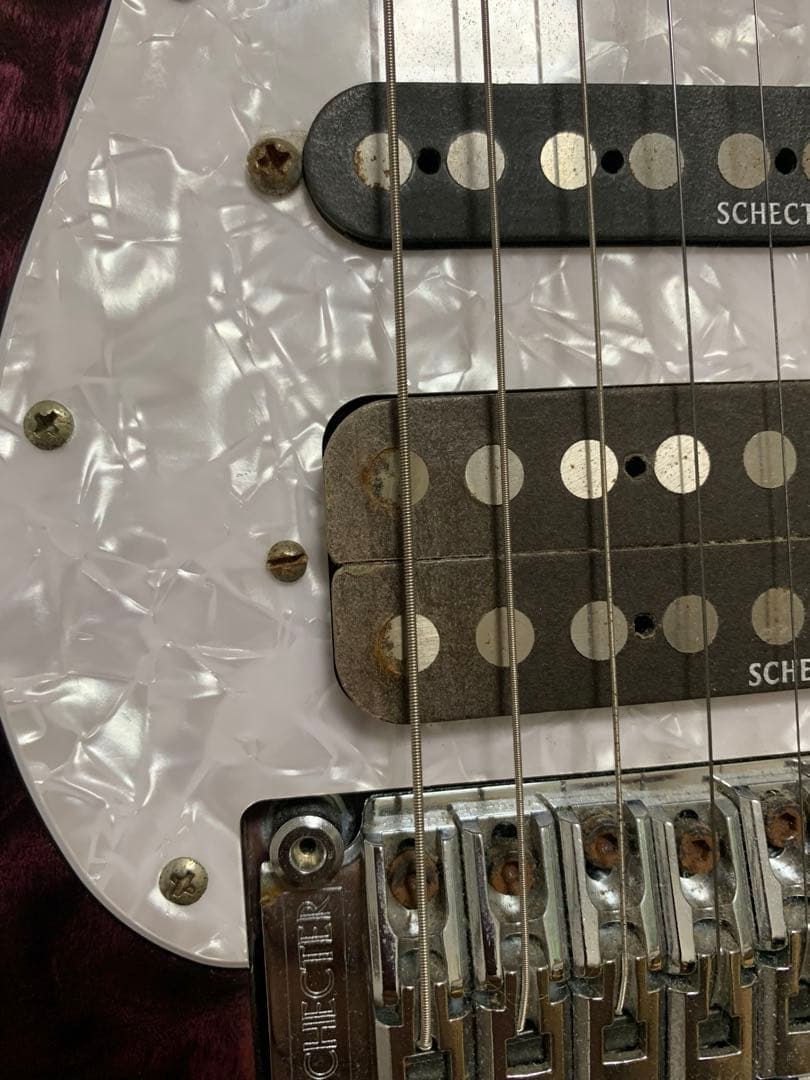 ギター Schecter SD-2-24 BW PUR/M