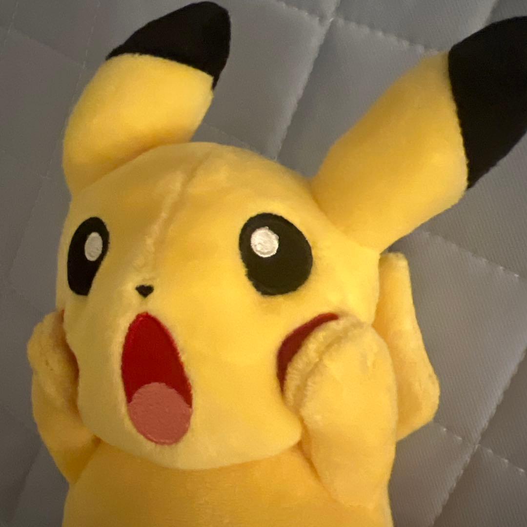 【タグ付き】ムンク展 ピカチュウ ぬいぐるみ