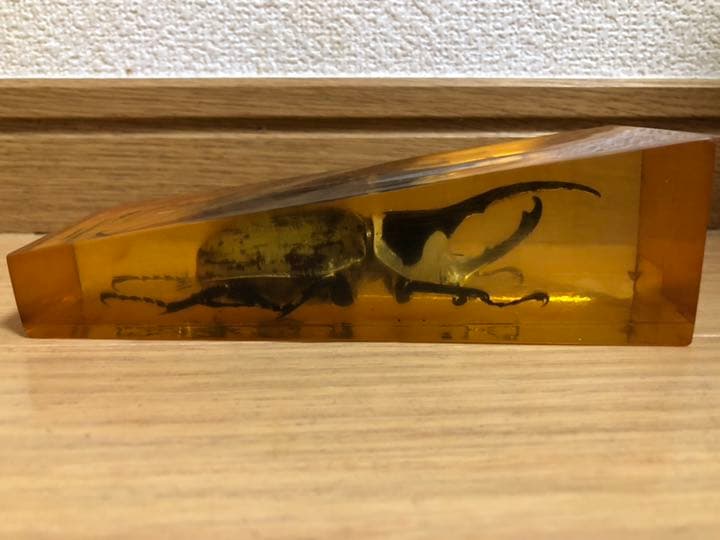 ヘラクレスオオカブト 標本 樹脂 琥珀 置物