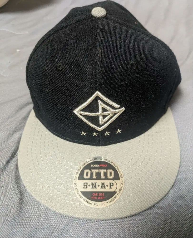 直筆サイン入り】GARNiDELiA 美依礼芽 MARiA ステッカー 2025年最新