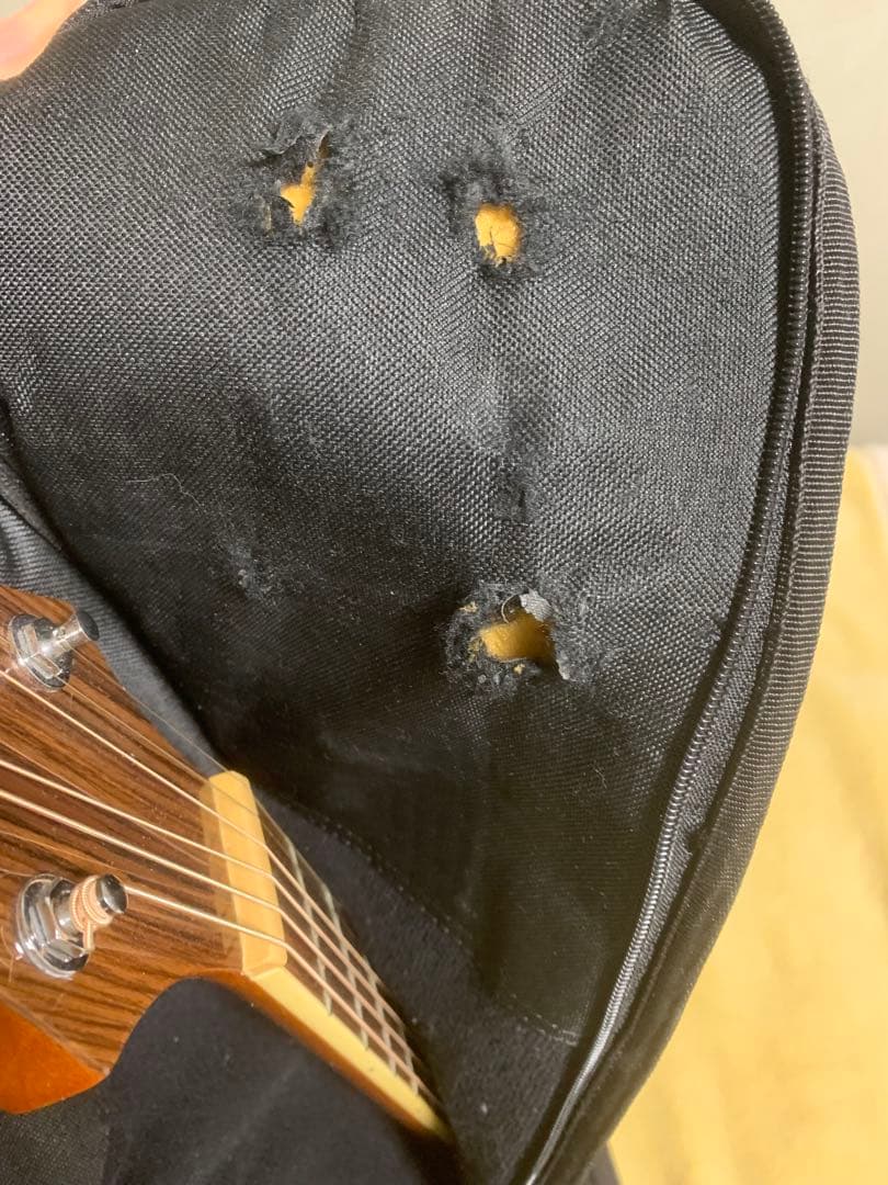 修復・キズあり】Samick Greg Bennett ASDM オール単板 - メルカリ