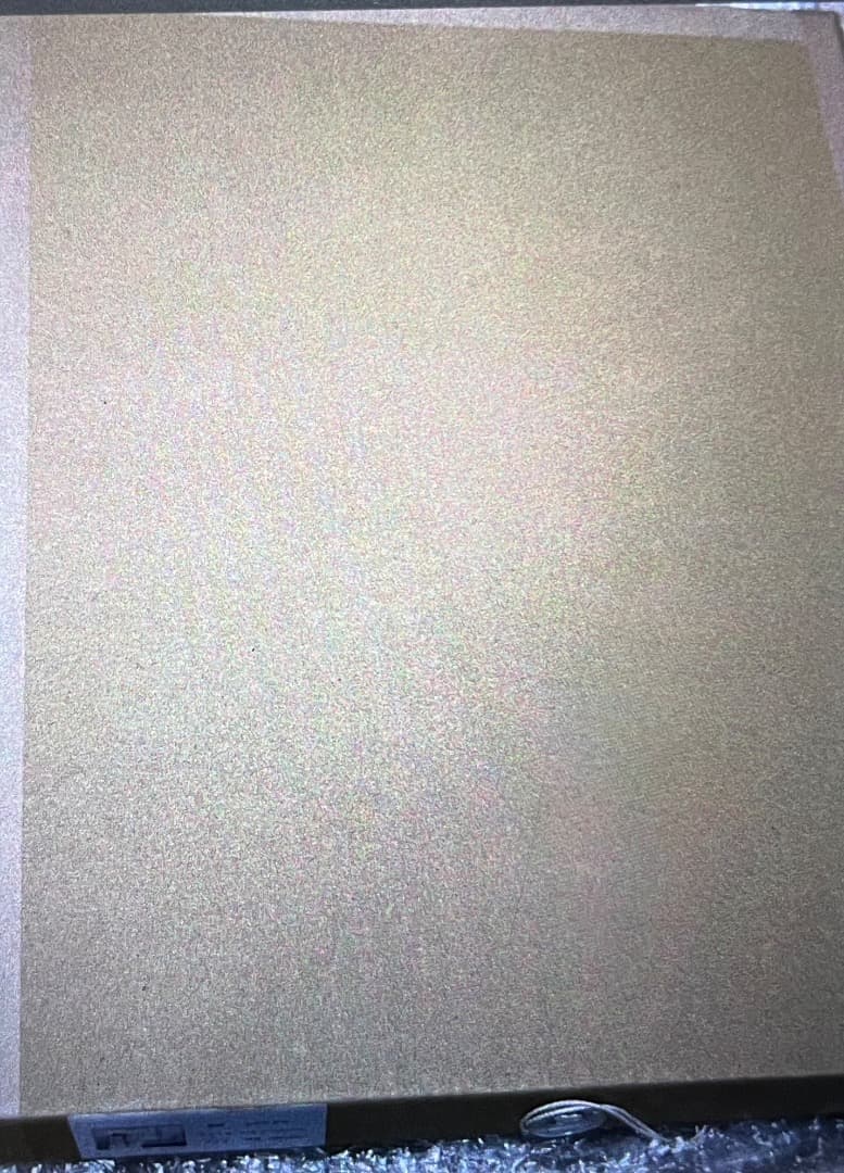 ジークレ版画「二人の朝」 ( Innocent Grey Flowers