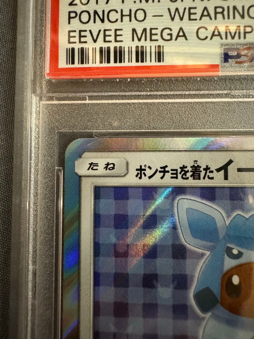 ポンチョを着たイーブイ PSA 9