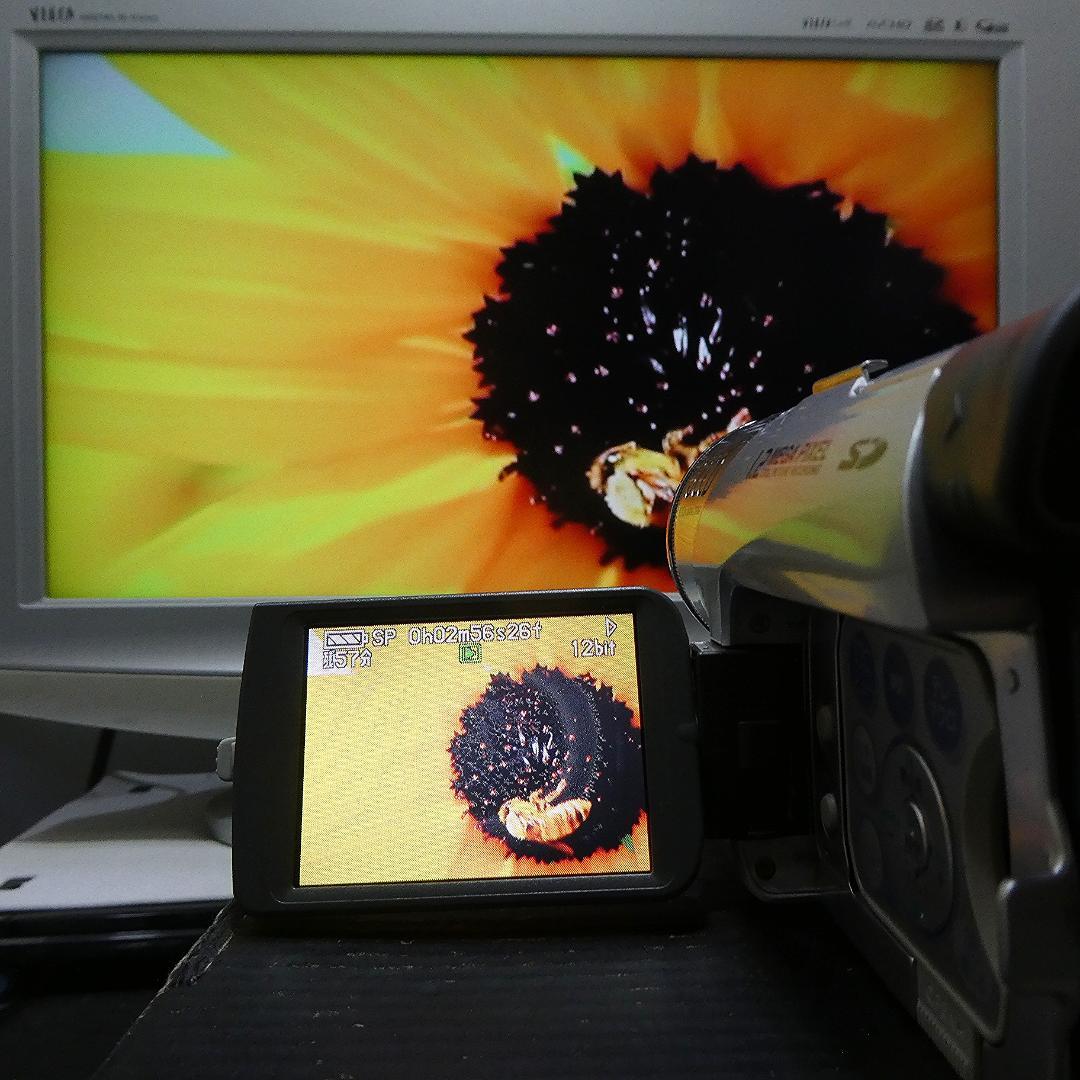 動作良好 パナソニックNV-GS120 MiniDVビデオ　デジタルダビングに