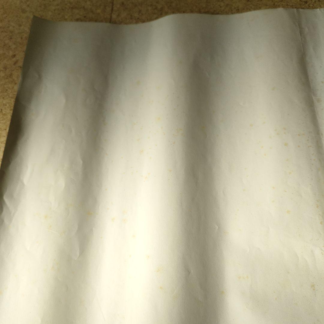 映画「ブラザーサン・シスタームーン」イタリア本国オリジナルポスター