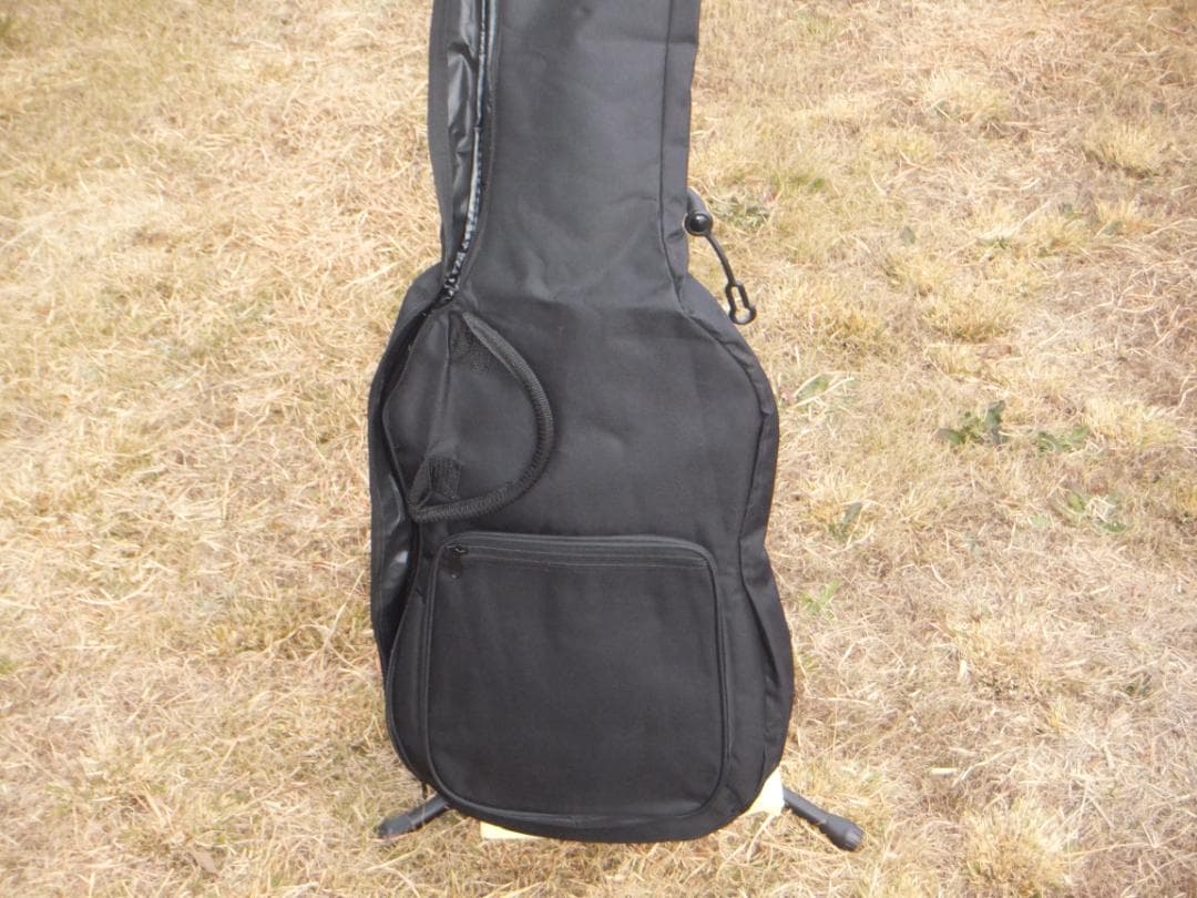 Fujigen NLC20EMH ラッカー　マホボディー　エボニー指板