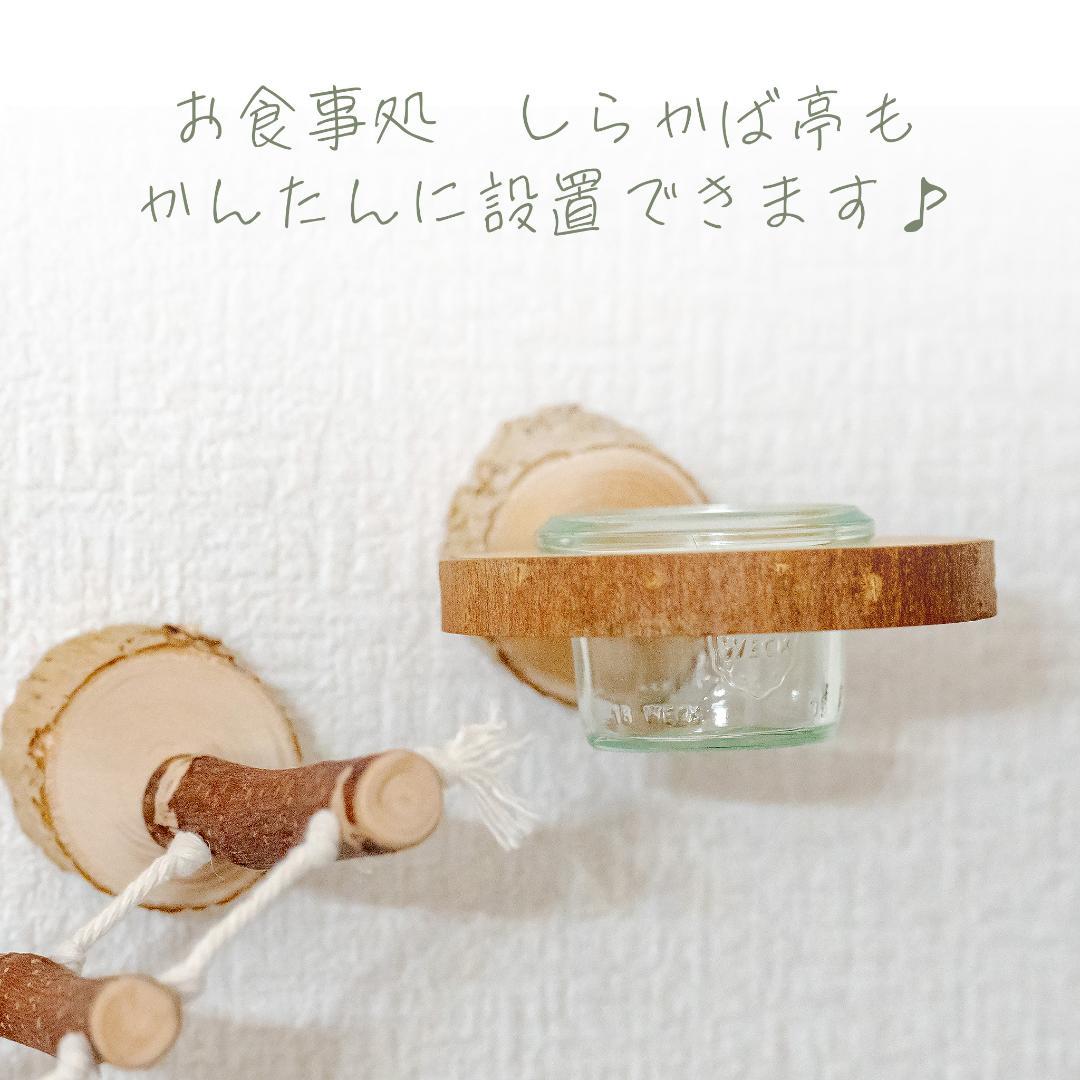 ①シンプルパーチ細め 2本 ②吊り橋ウルトラロング 2個 ③壁