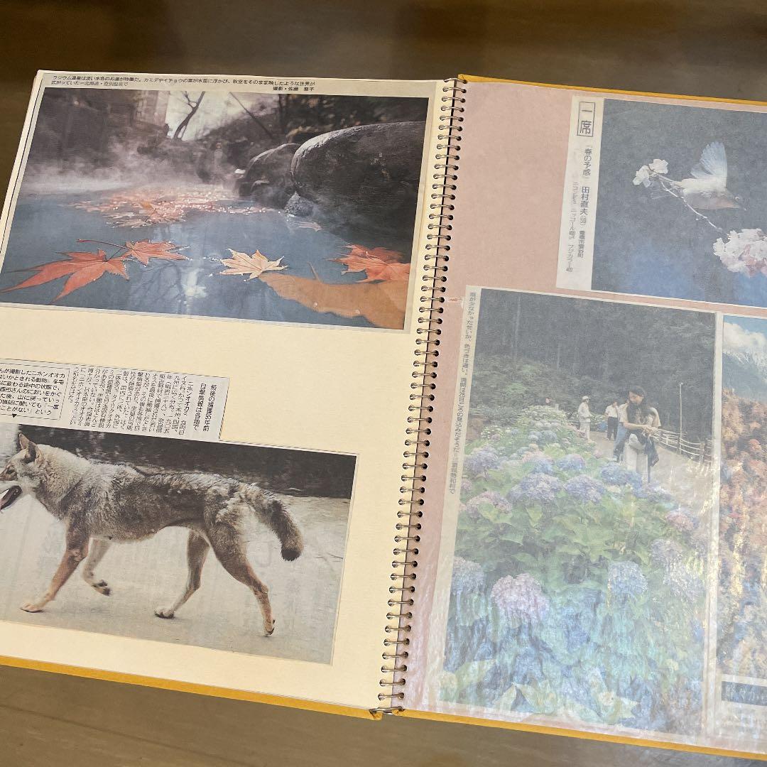 河村大蔵蔵石スケッチブック