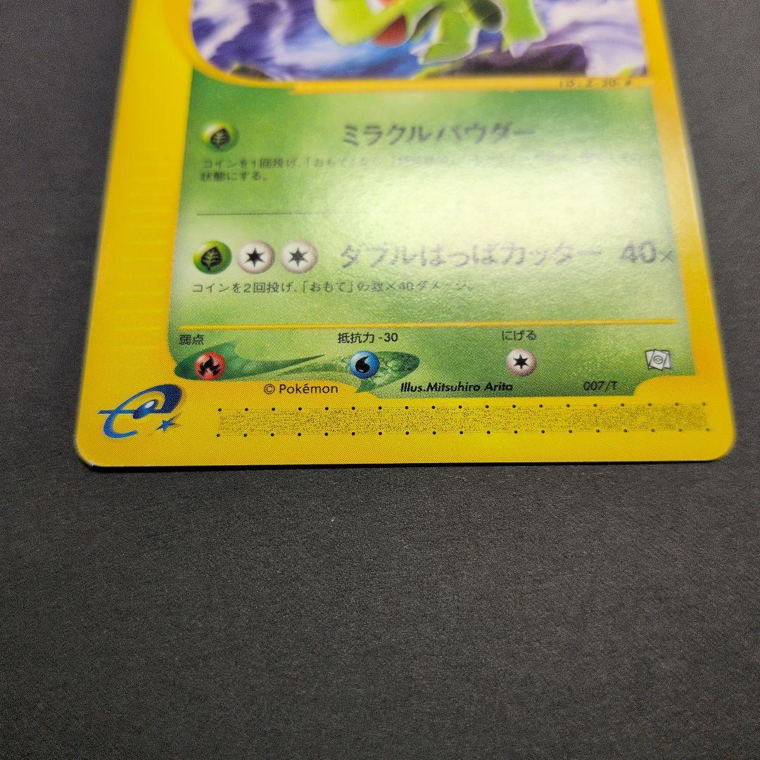 ベイリーフ・マグマラシ・アリゲイツ　トレーナーズプロモカード3枚セット