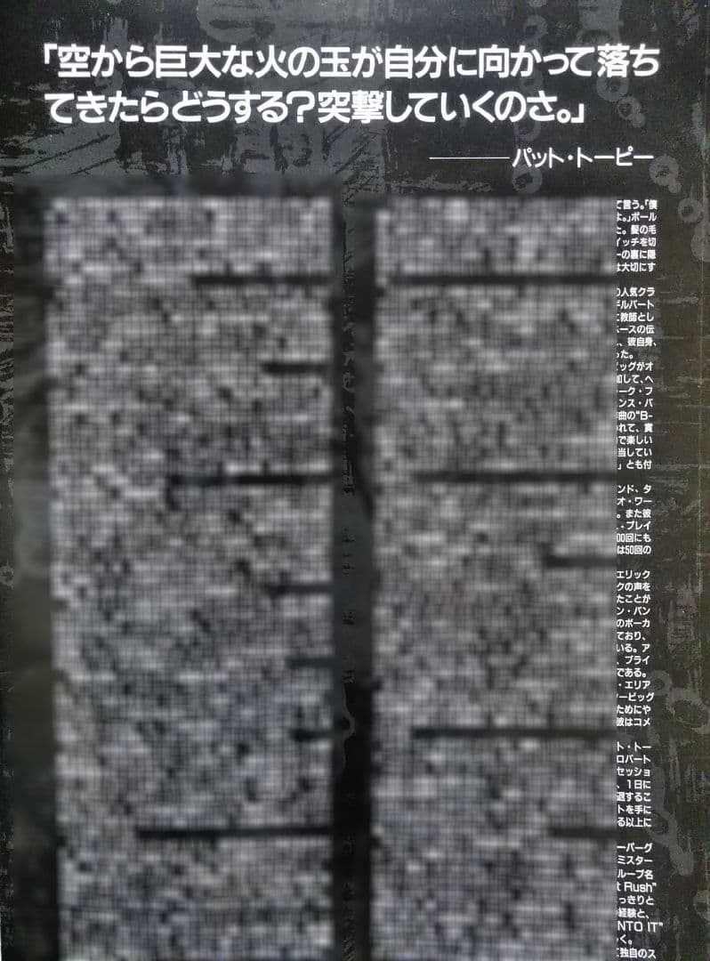 MR.BIG ミスタービッグ ミスター・ビッグ パンフレット 1991年【希少】