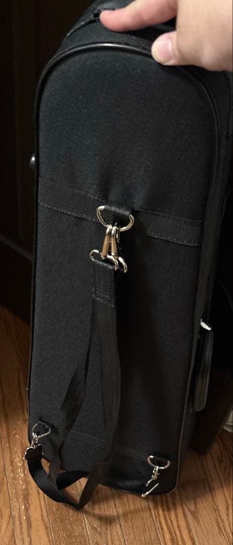 【ほぼ新品】カルロジョルダーノ バイオリンセット VS-1 4/4