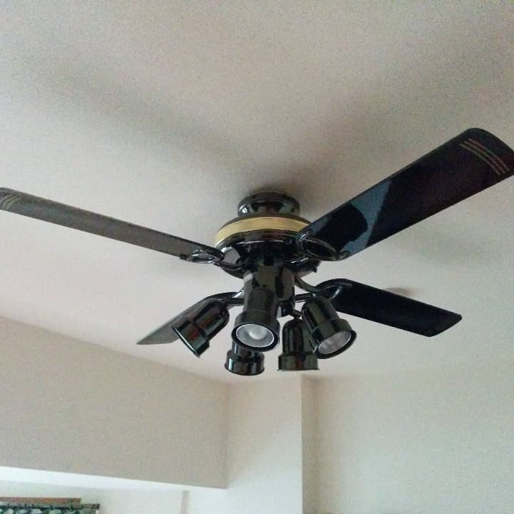 NEC リモコン式シーリングファン (6~8畳用) XZF-65108R オファー