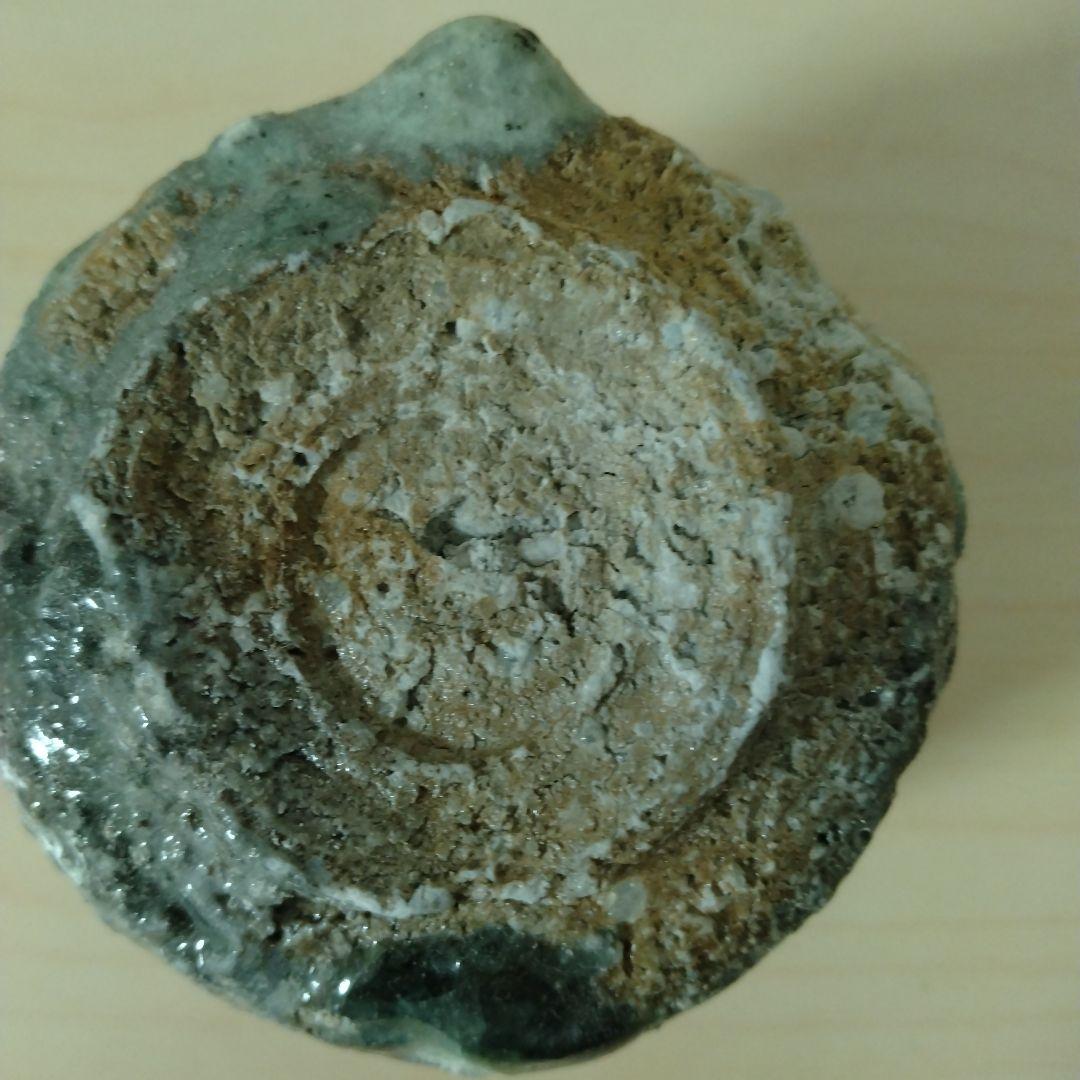 杉本祐 信楽ぐい呑 箱付 未使用 カタツキあり