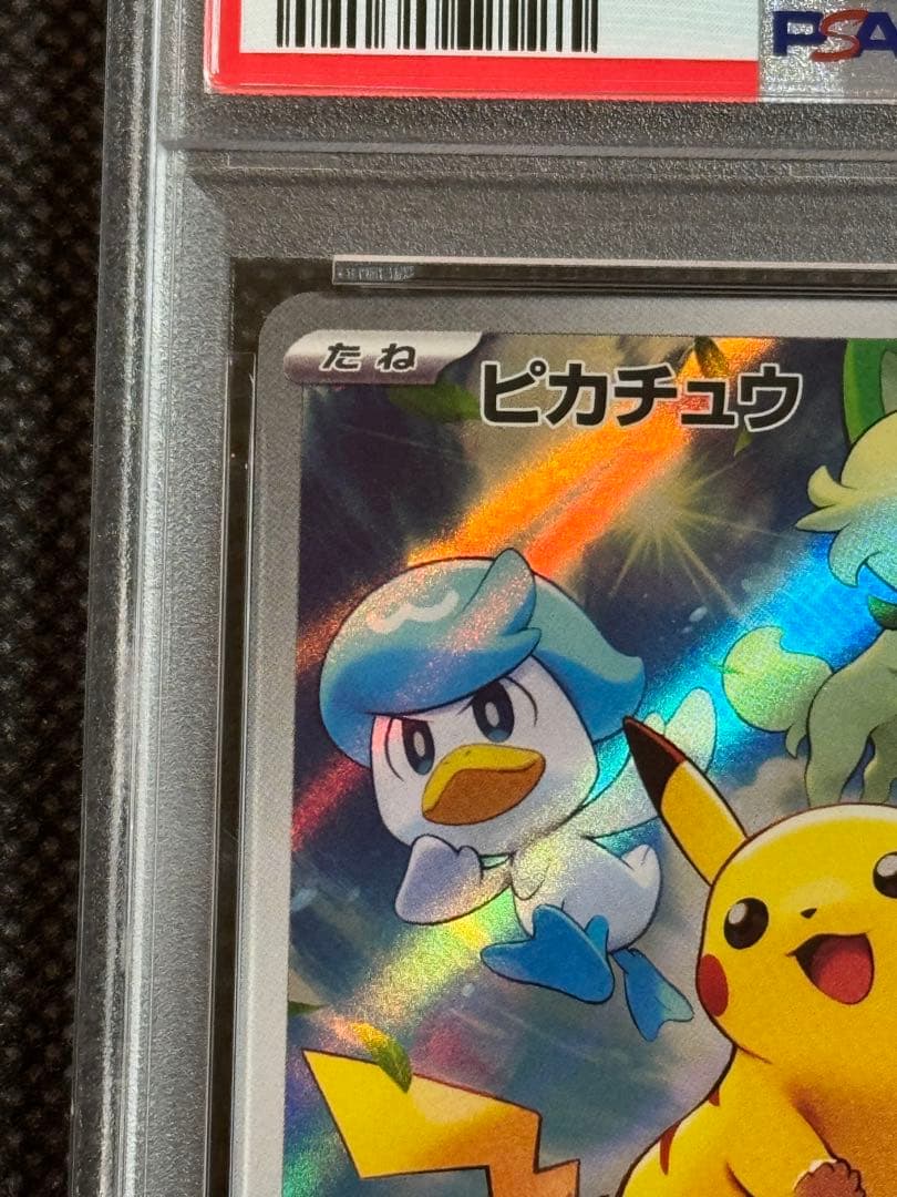 ピカチュウ スカバイ プロモ psa10