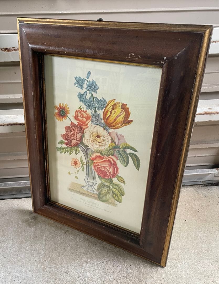 ビンテージ/イタリア製/ウッドフレーム/ボタニカル/額装/金縁/大型/店舗什器