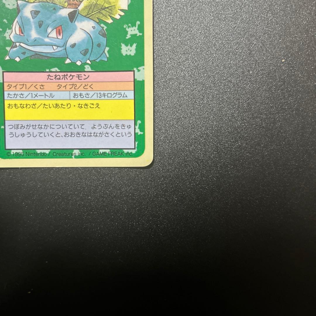 ポケモンカードゲーム フシギソウ フシギダネ 旧裏 トップサン エラー
