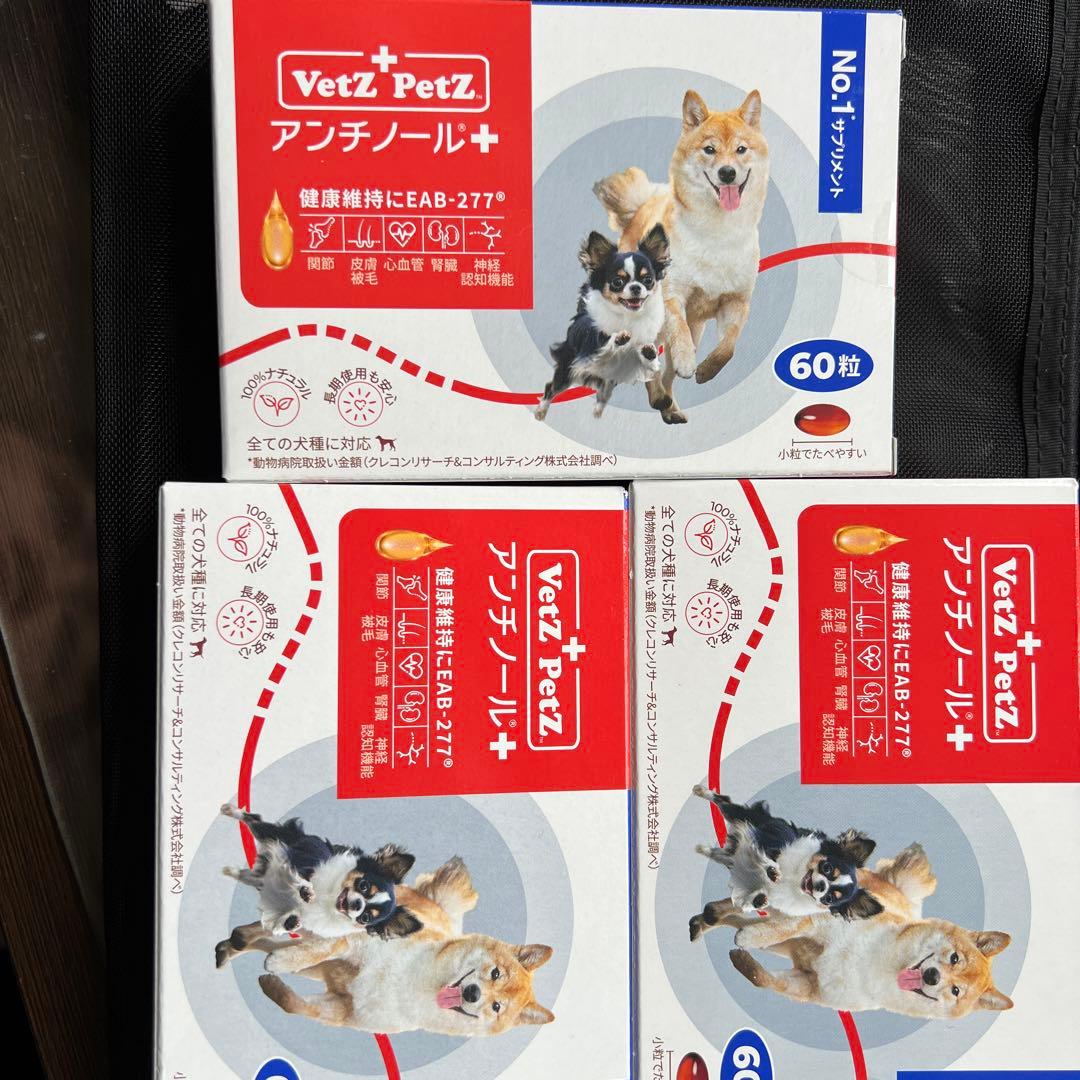 アンチノールプラス60粒3箱 オンライン セール