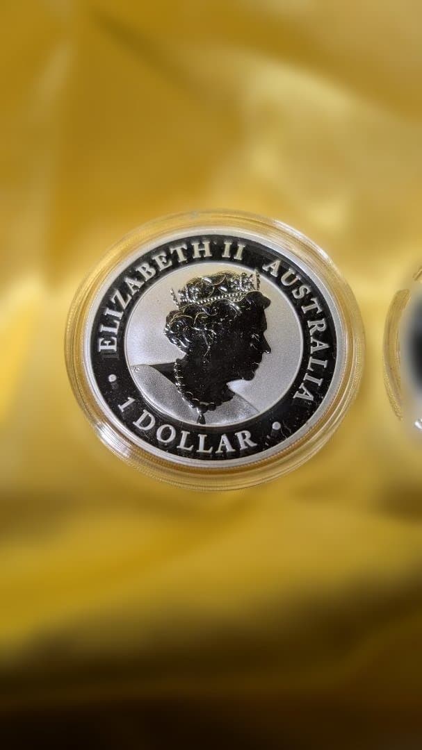 オーストラリア・クッカバラ銀貨 2枚セット 2021年 1オンス - メルカリ