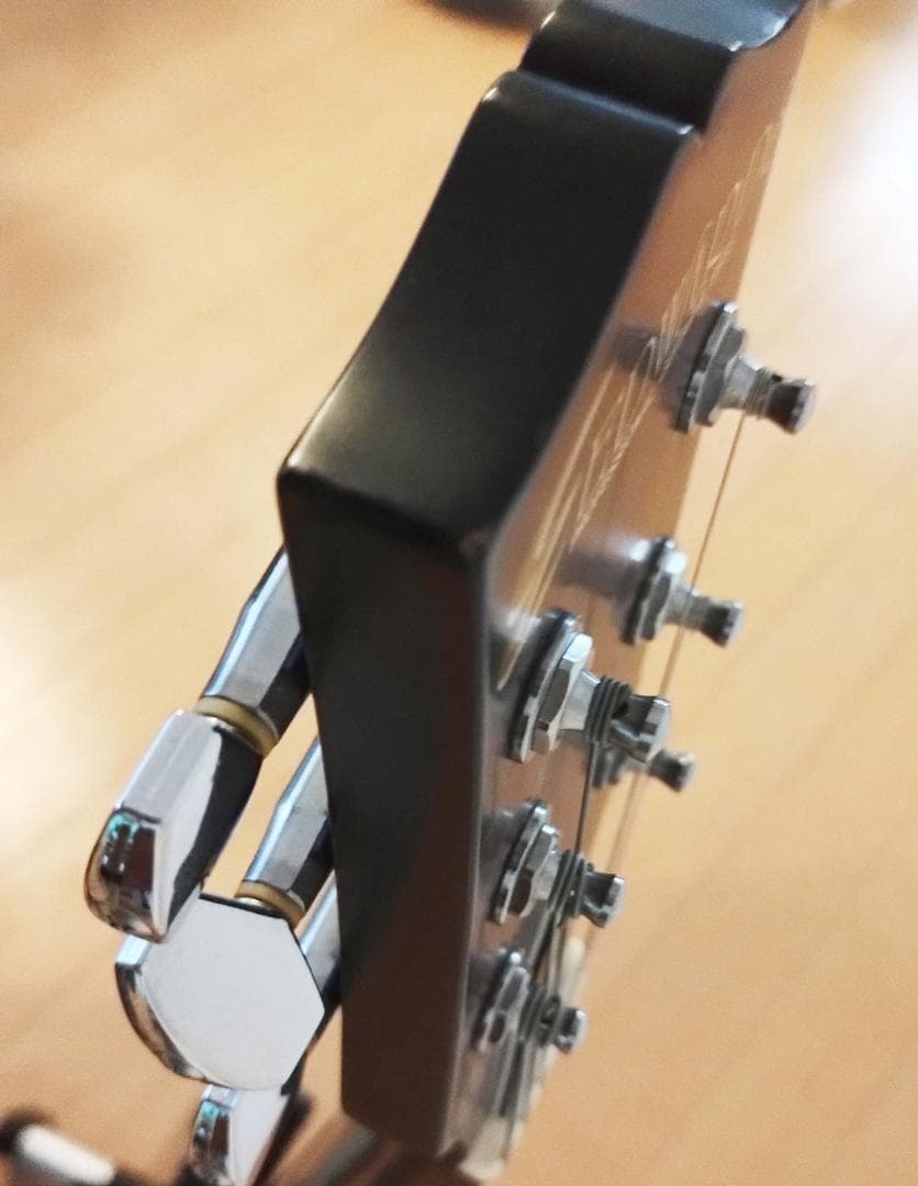 【レスポールタイプ・SSH】E-I-135QM【LUNA SEA・INORAN】