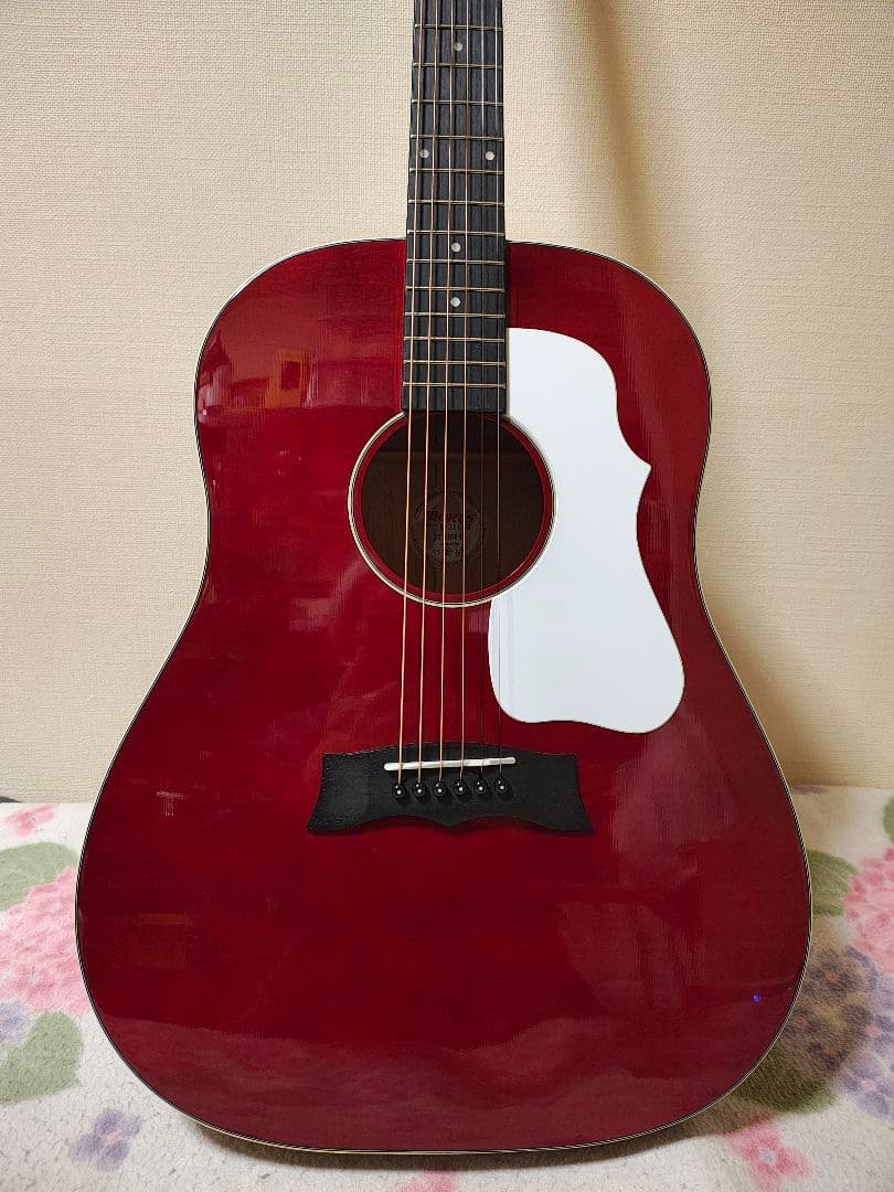 単板トップMORRIS G-021 WR/超美品/専用ケース付