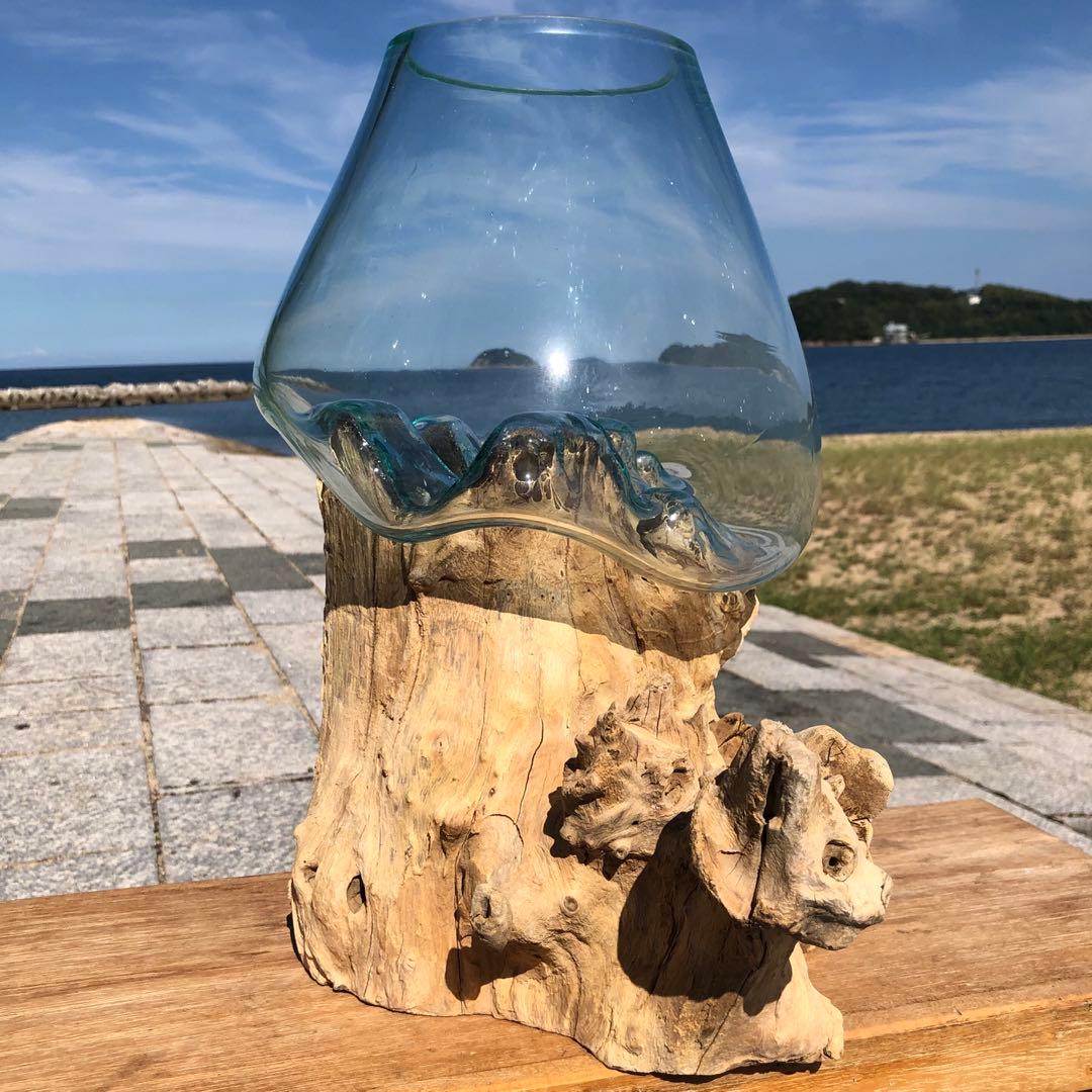 流木ガラス オブジェ特大V 花瓶 金魚鉢 ガーデニング テラリウム 観賞