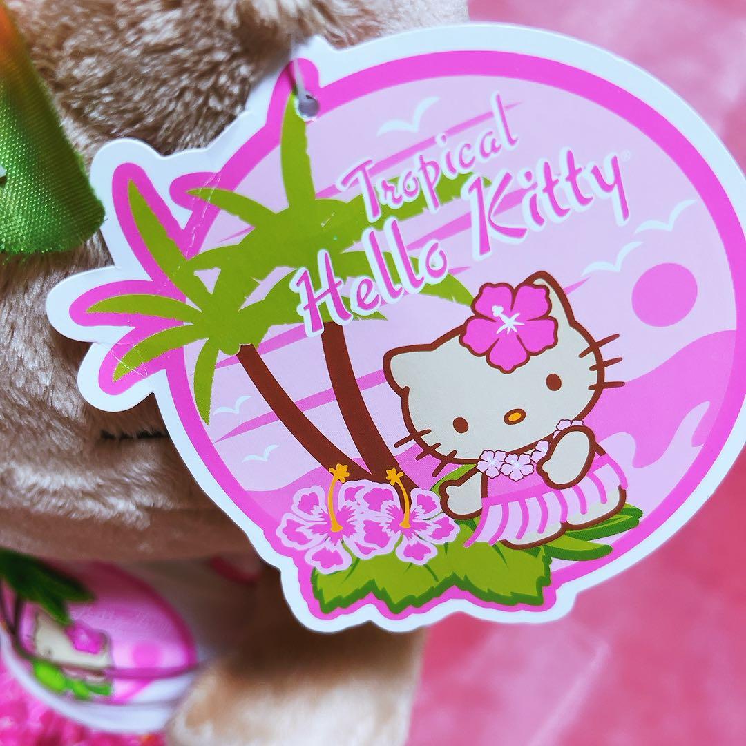 希少レア　ハローキティ　ビルドアベア　ぬいぐるみ　日焼けキティ　ハワイ　サンリオ