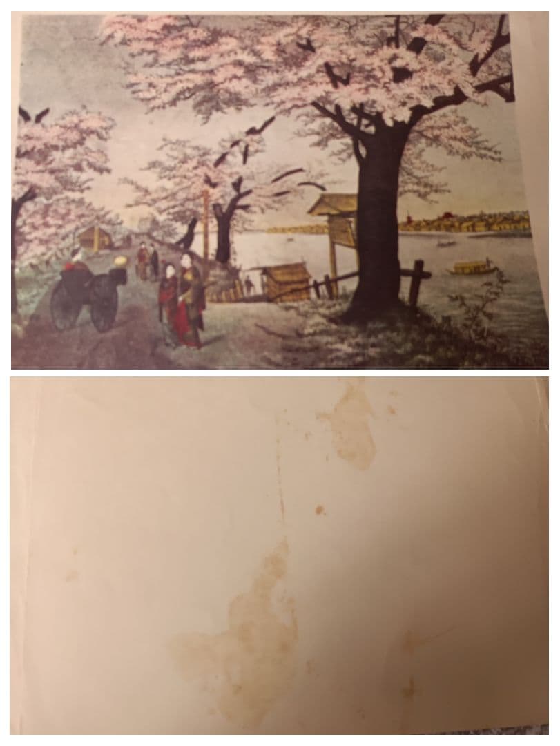 ※貴重※国際写真情報/昭和26年/付録/風景画・美人画/21枚/古物