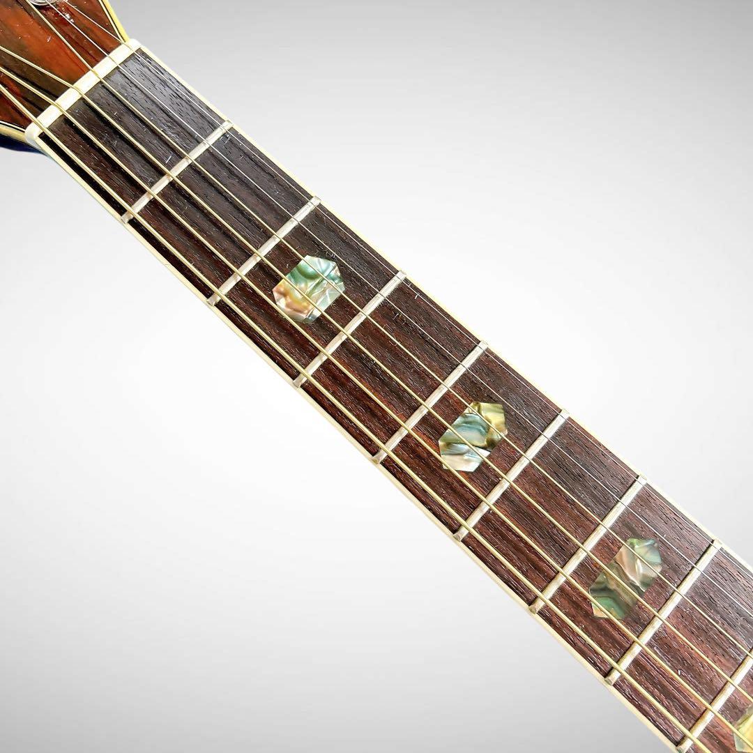 ハードケース付】1970年代MORRIS W-40 3Pバック ハカランダ