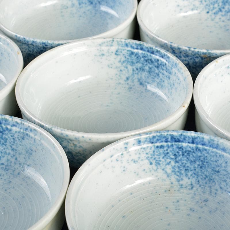 和食器 染付 吹墨文小皿 十二客 書付箱 V R7437