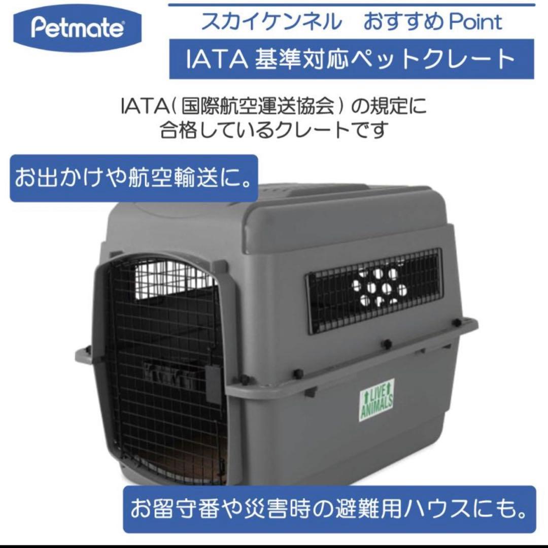 本日迄の価格‼︎完売品 バリケンネル クレート ML すのこ付 直接お渡し