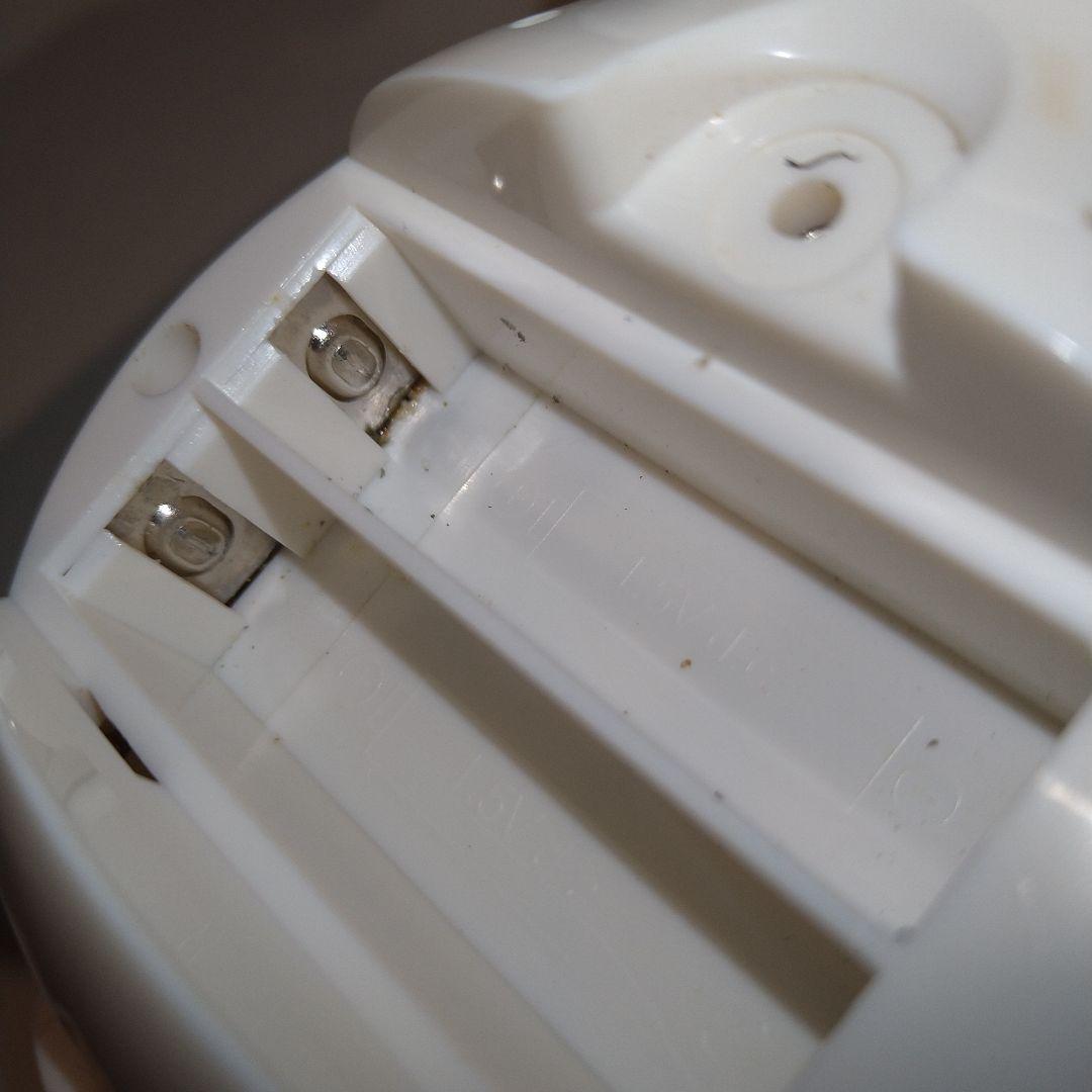 希少　まめゴマ飼育日記