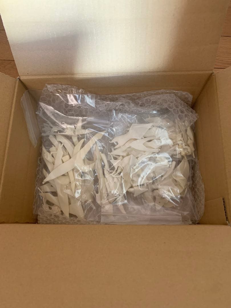 アストラナガン ガレージキット スタジオ sincerely