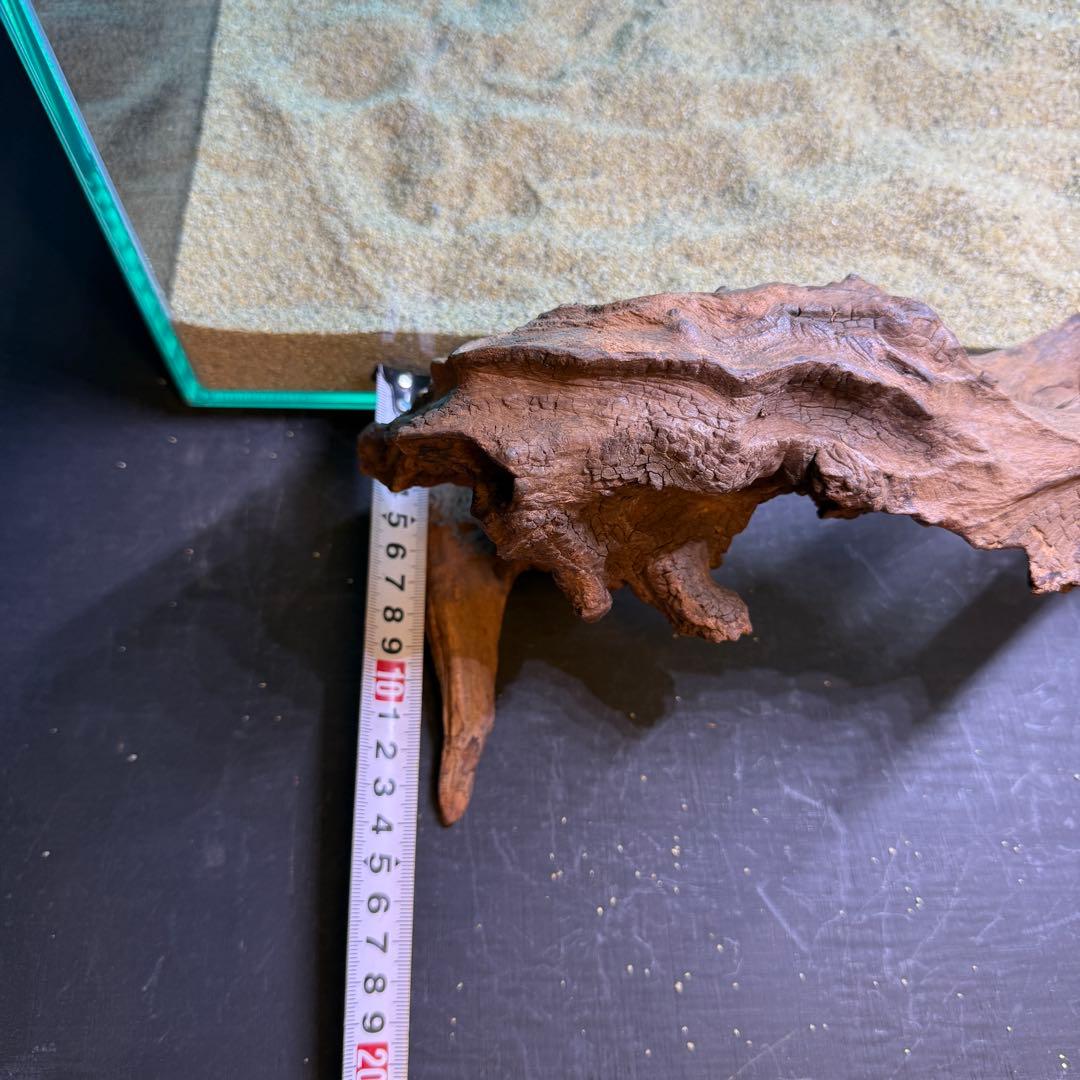 MRW-6570 特大自立赤系天然流木1点物流木アクアリウム