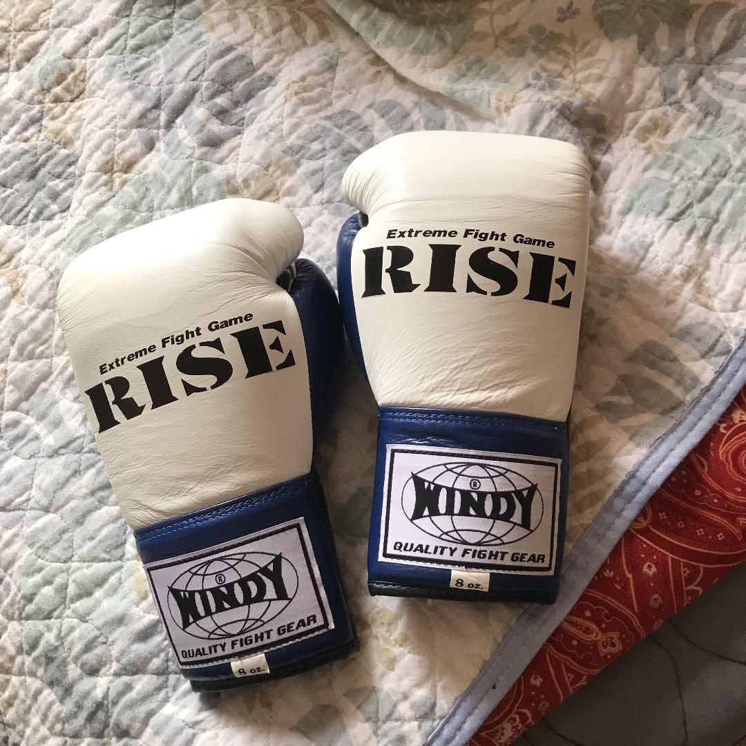 RISEキックボクシンググローブ RISE公式モデル|トレーニンググローブ