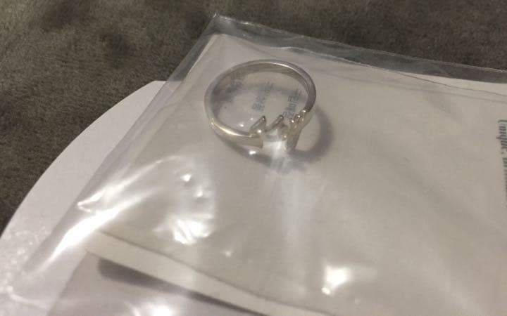 SHINee 10周年記念公式グッズ ネームリング キー KEY