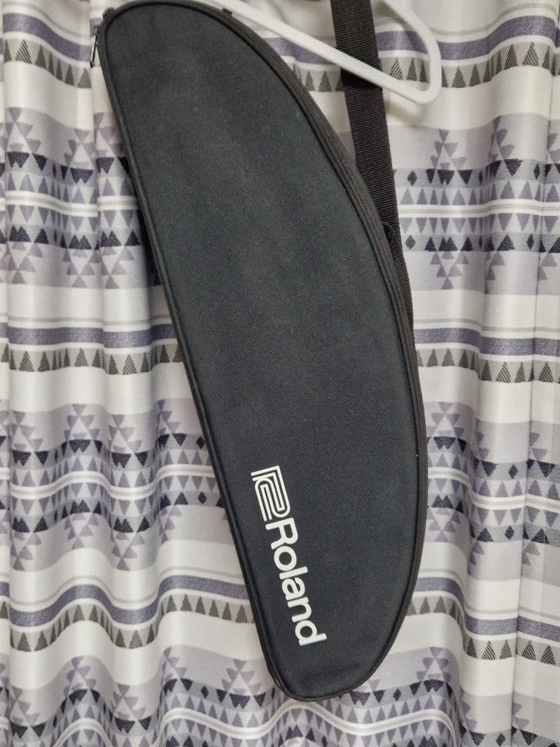 Roland エアロフォン AE-10