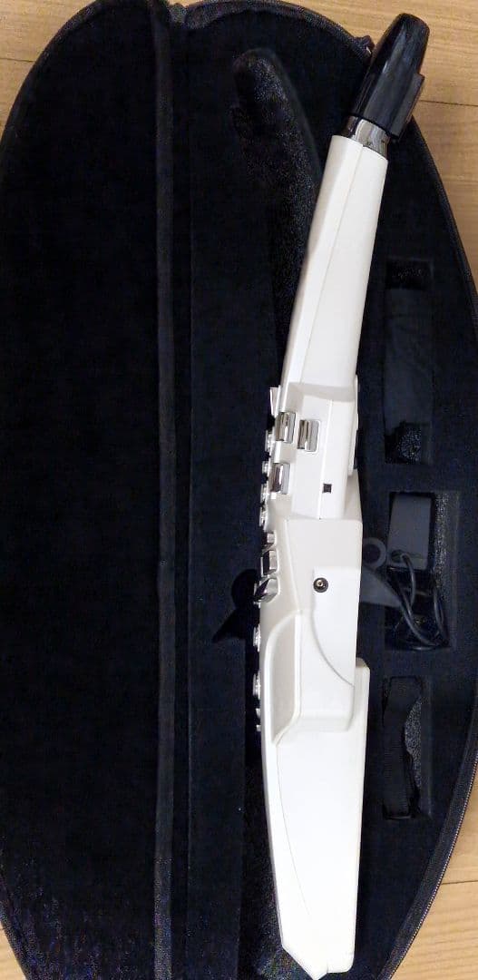 Roland エアロフォン AE-10