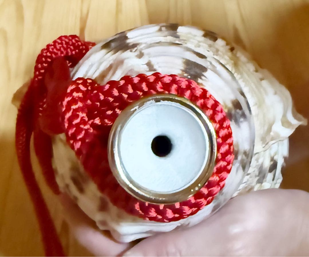 特大42㎝修験道法螺貝　山伏　密教　魔除け　熊よけ❣️ホラガイ　ほら貝　赤紐付き