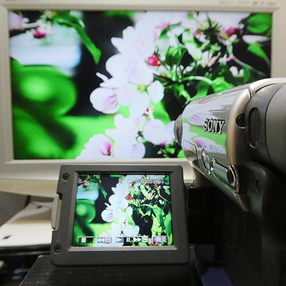 動作品ソニー DCR-TRV33 MiniDVビデオカメラ　DVDダビングに最適