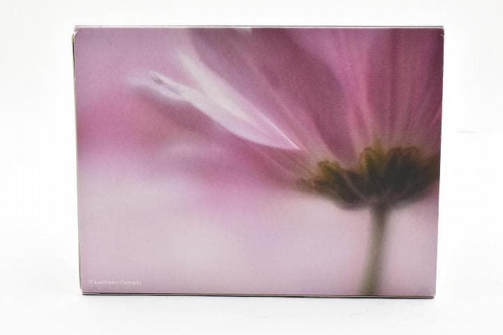 15238E ☆新品☆ レンズベビー 56mm F1.6 LENSBABY