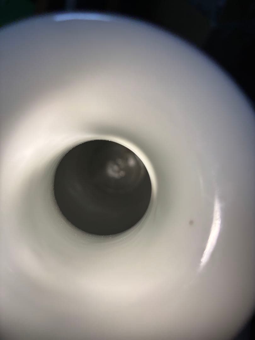 粉彩吉祥文瓶 「大清光緒年製」落款 高さ約40cm