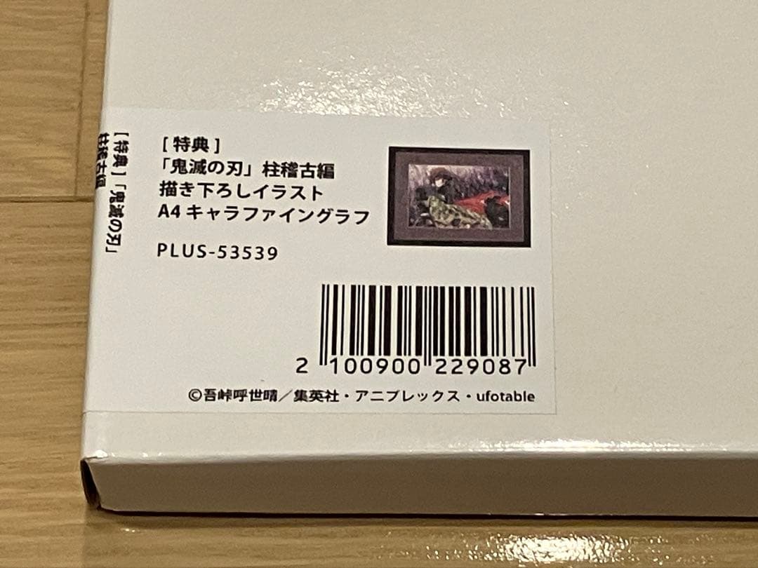 鬼滅の刃 柱稽古編／書き下ろしイラストA4キャラファイングラフ（冨岡義勇）