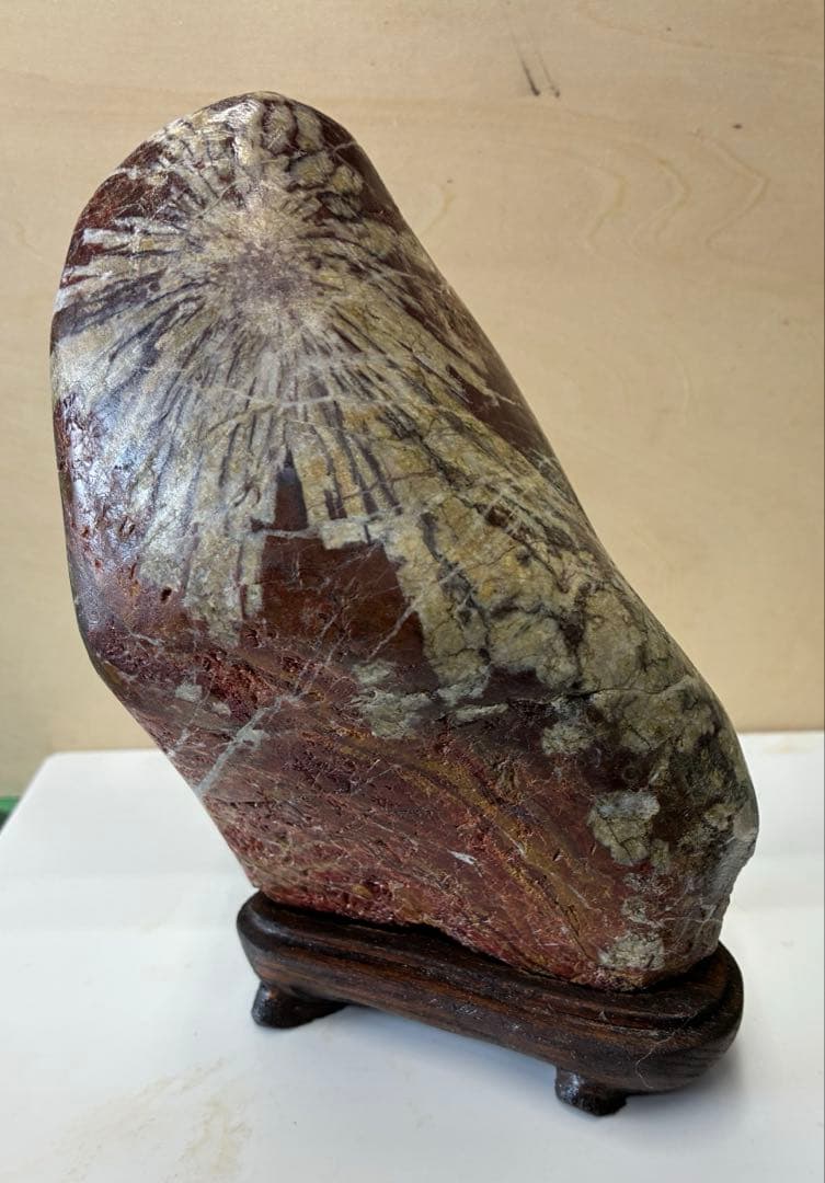 岐阜県根尾谷産の菊花石（台座付き）